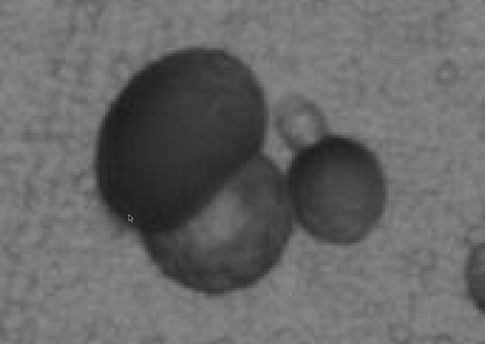 Ellipse with points